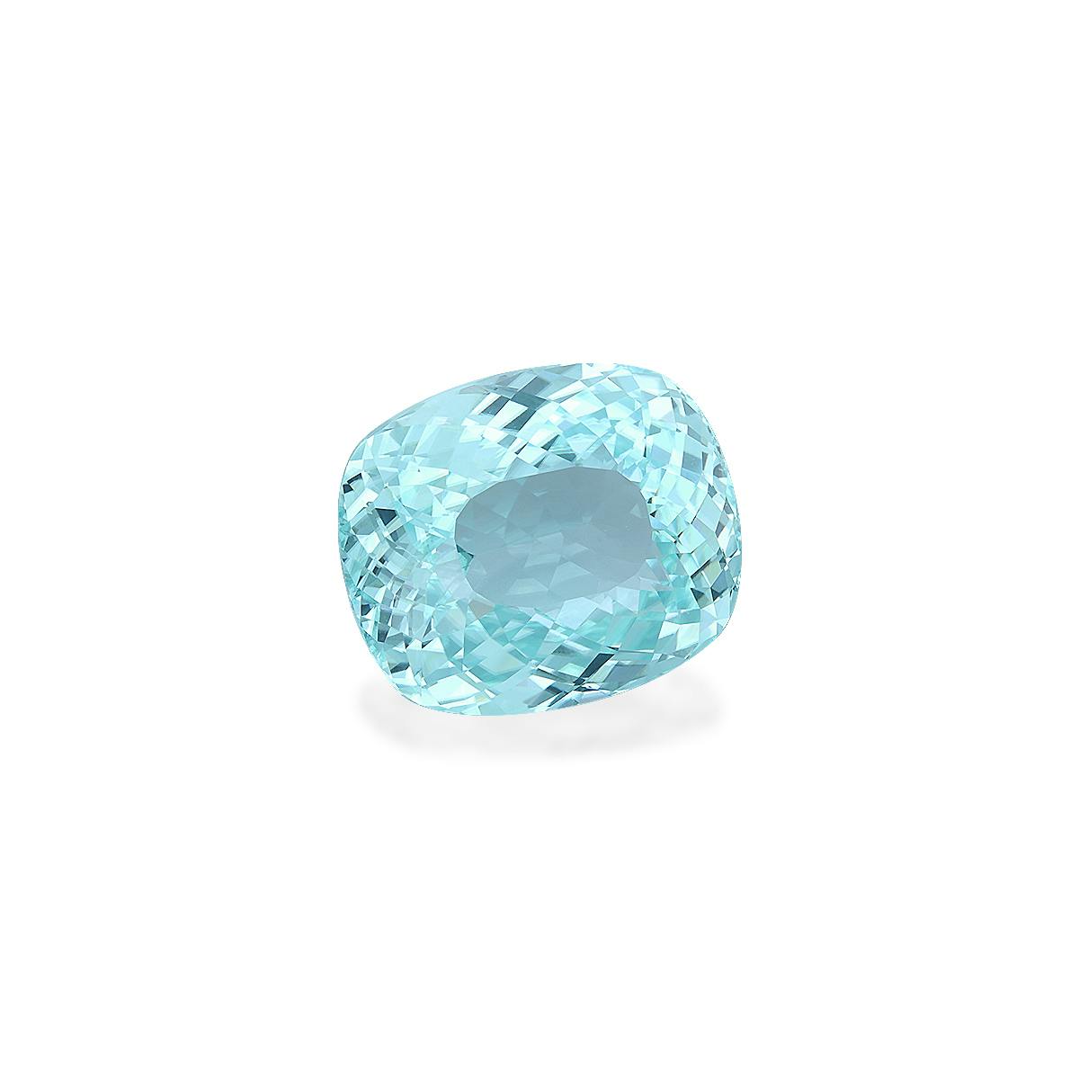 Paraiba Tourmaline 53.19 ct
